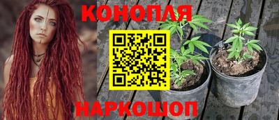 эйфоретик Краснознаменск