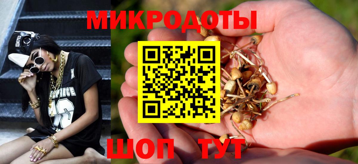 Псилоцибиновые грибы Psilocybe  Вход с VPN  Благовещенск  Галлюциногенные грибы мухоморы 
